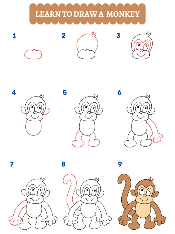 Come si disegna una scimmia?