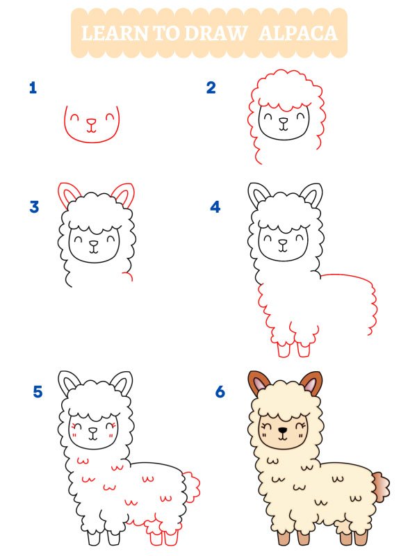 Come disegnare un alpaca
