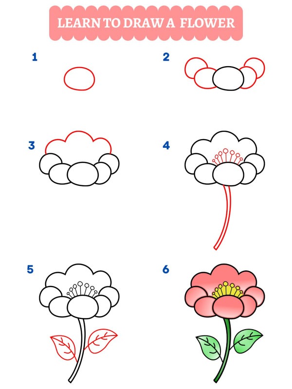Come disegnare un fiore