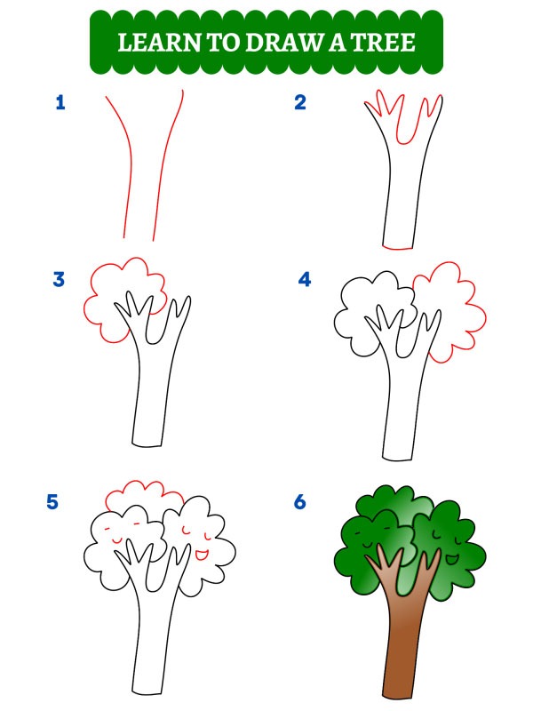 Come disegnare un albero