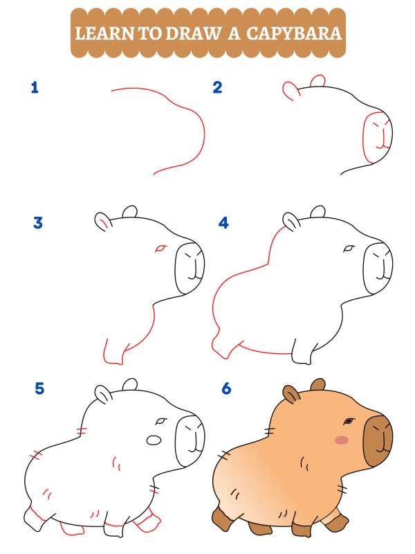 Come disegnare un capibara