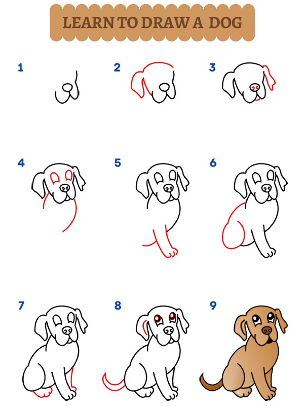 Come disegnare un cane