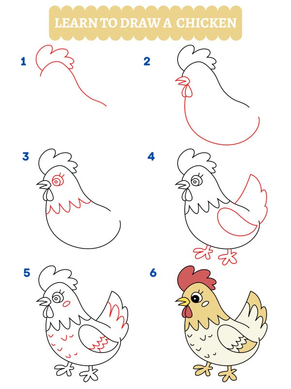 Come disegnare un pollo
