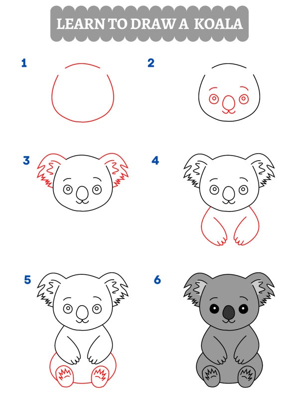 Come disegnare un koala
