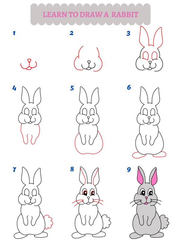 Come si disegna un coniglio?
