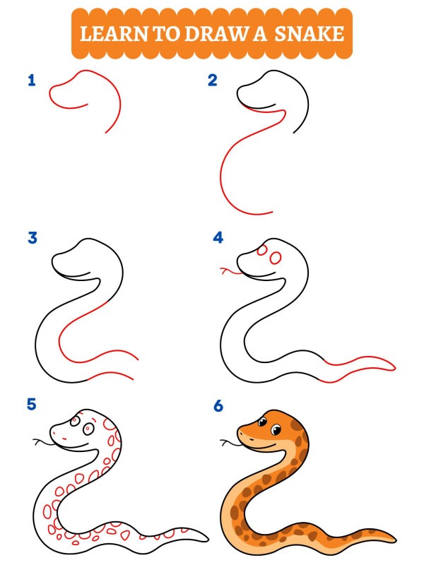 Come disegnare un serpente