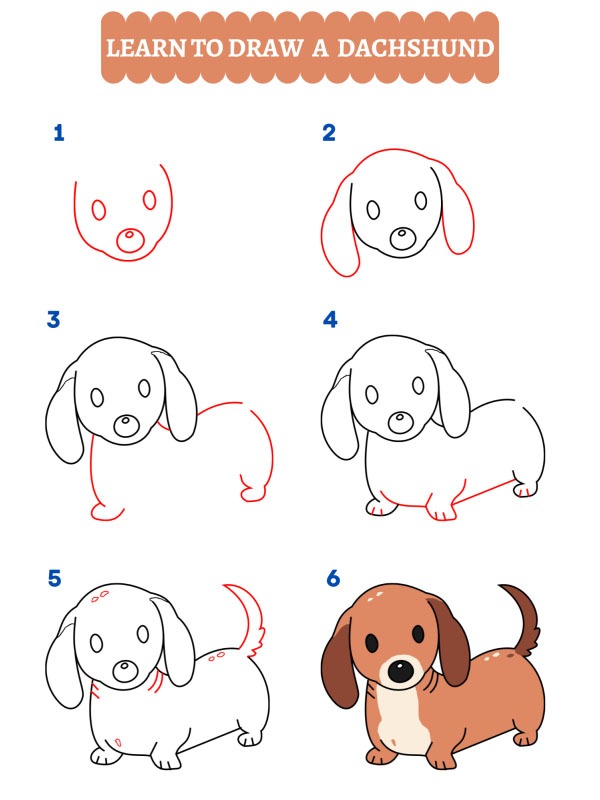Come disegnare un bassotto