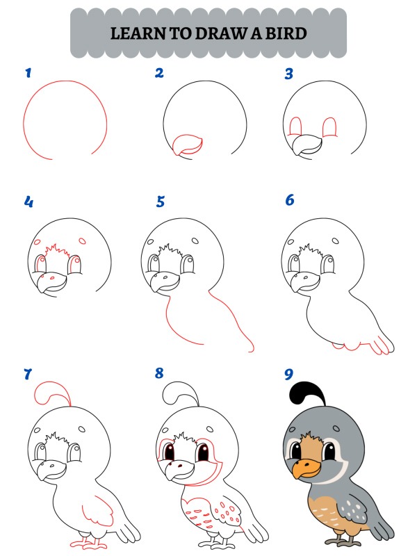 Come si disegna un uccello?