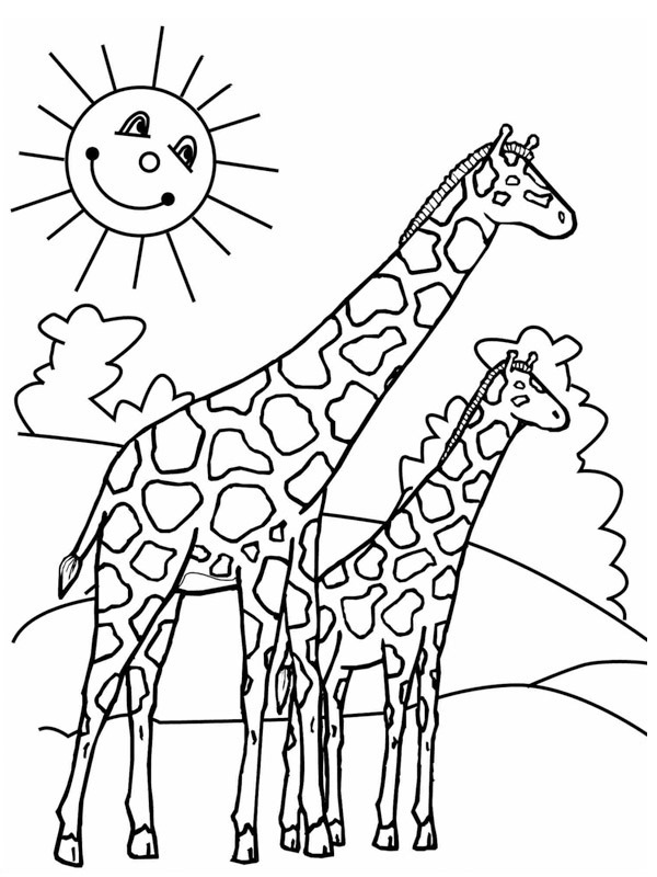 2 Giraffe disegno da colorare