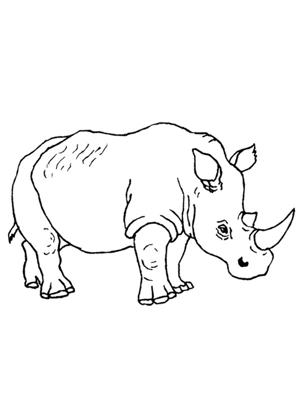 Rinoceronte disegno da colorare Rinoceronte disegno da colorare
