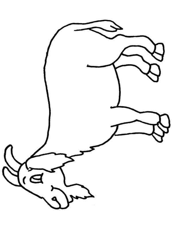 Capra disegno da colorare Capra disegno da colorare