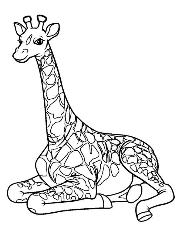 Giraffa disegno da colorare