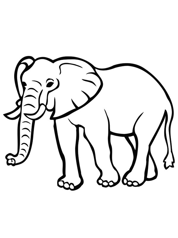Elefante disegno da colorare