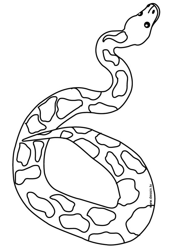 Serpente disegno da colorare