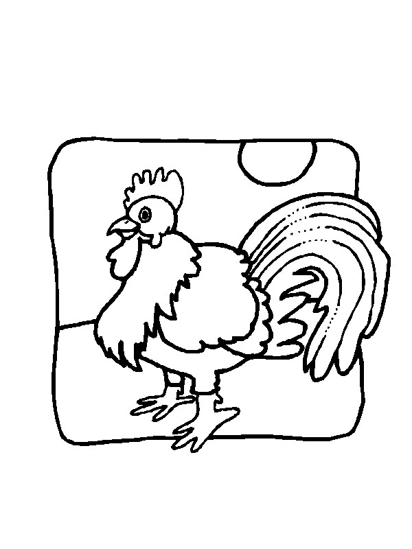 Pollo disegno da colorare