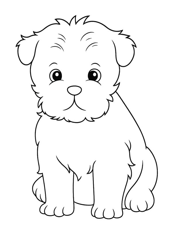Affenpinscher disegno da colorare Affenpinscher disegno da colorare