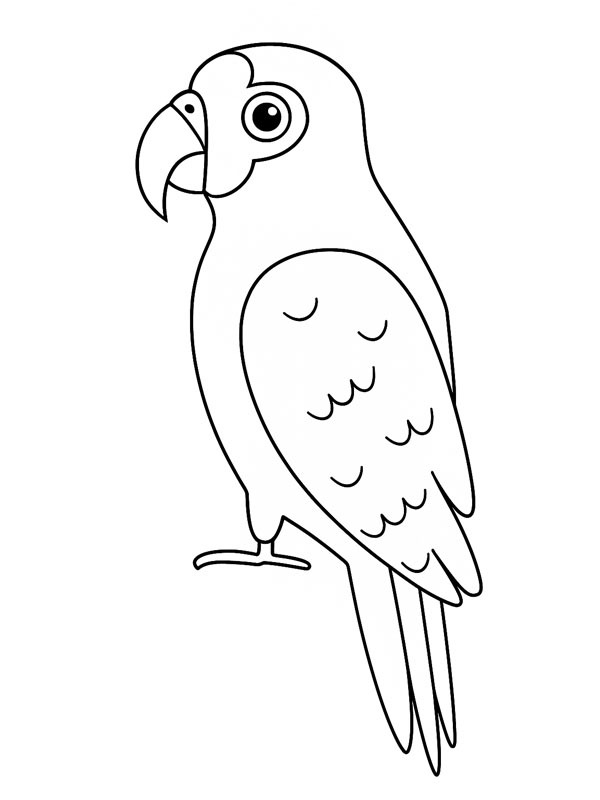 Pappagallo dell'Amazzonia disegno da colorare Pappagallo dell'Amazzonia disegno da colorare