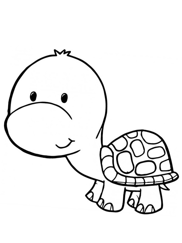 Piccola tartaruga disegno da colorare