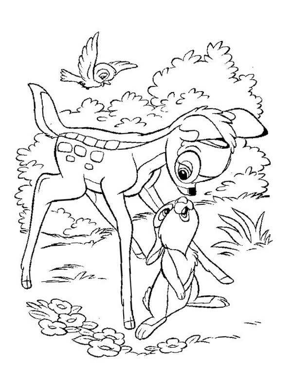 Bambi e Tamburino disegno da colorare