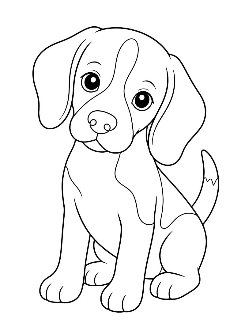 Cucciolo di Beagle disegno da colorare Cucciolo di Beagle disegno da colorare