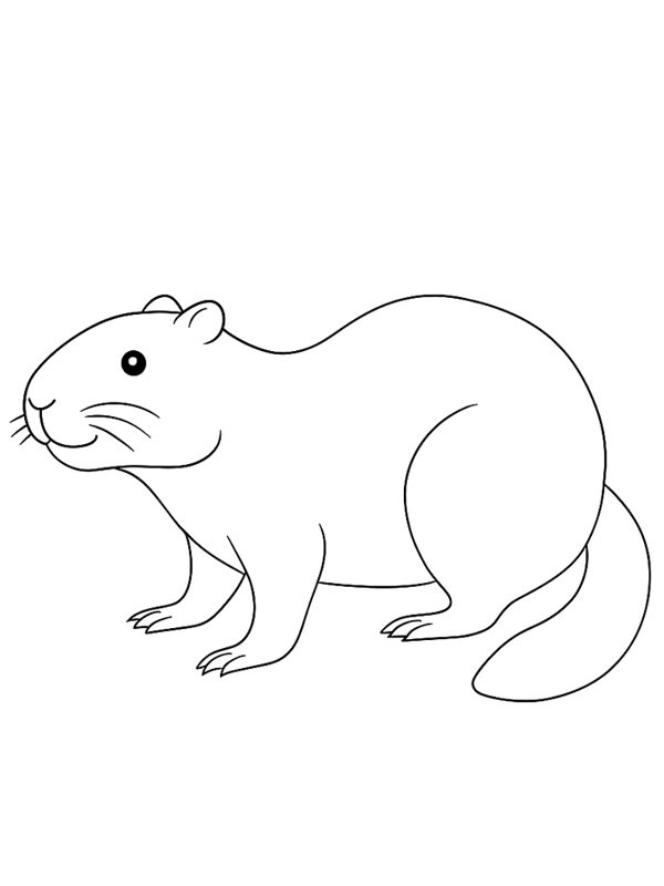 Castoro disegno da colorare