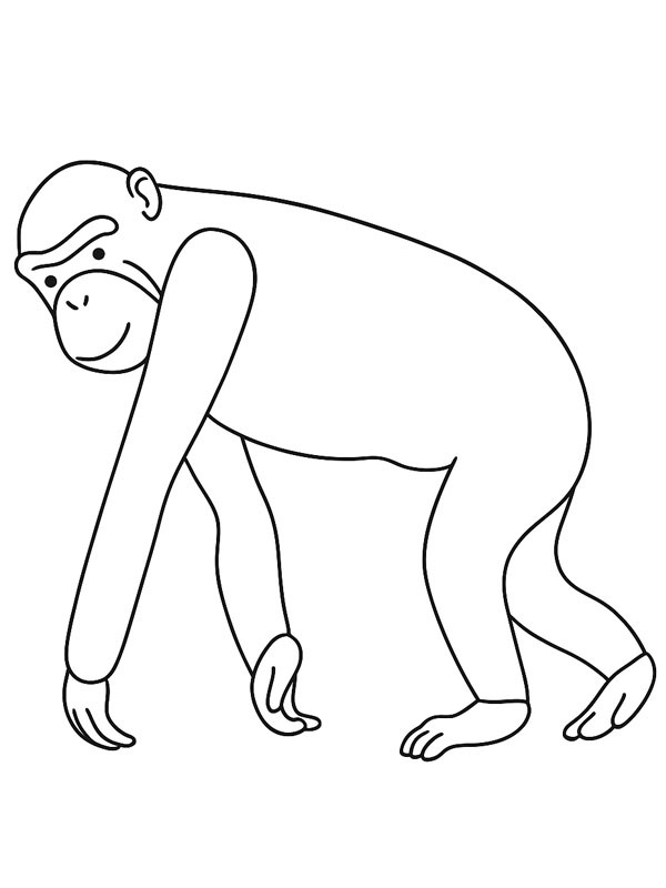 Bonobo disegno da colorare
