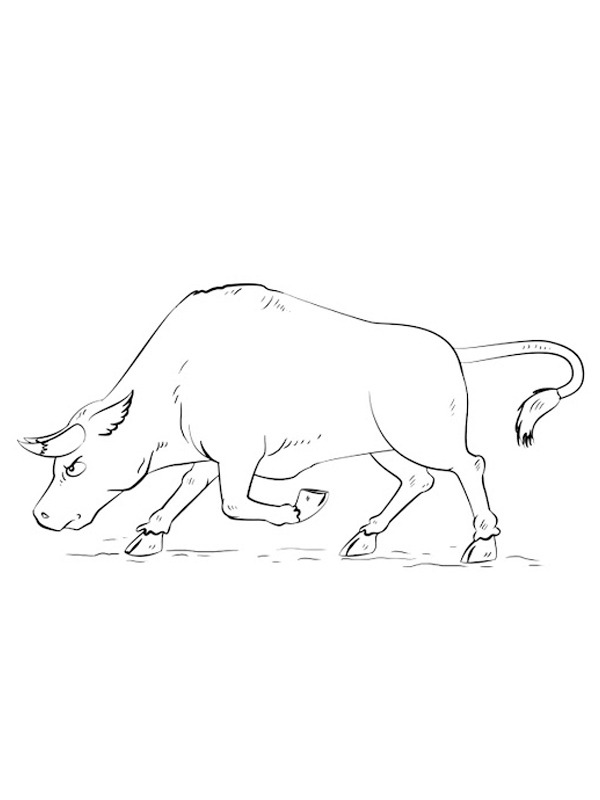 Toro arrabbiato disegno da colorare