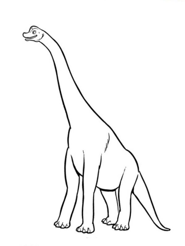 Brachiosauro disegno da colorare