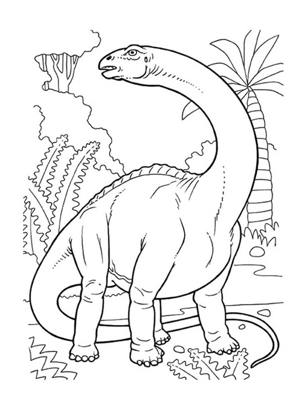 Brontosauro disegno da colorare