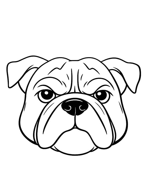 Testa di bulldog disegno da colorare