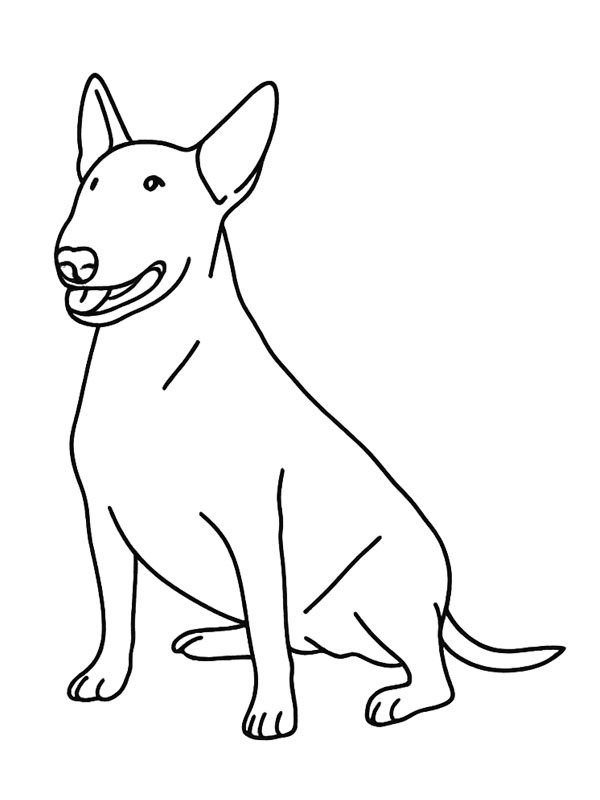 Bull terrier disegno da colorare Bull terrier disegno da colorare