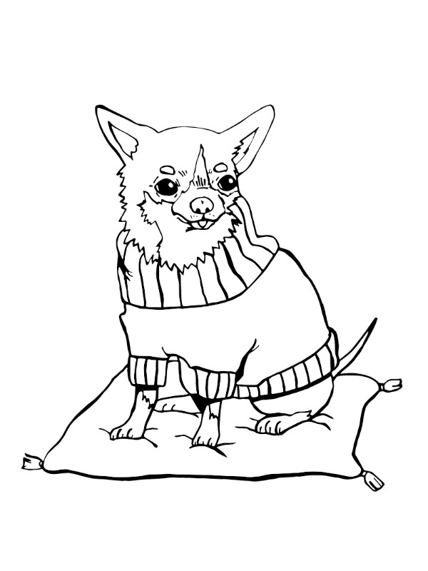 Chihuahua disegno da colorare