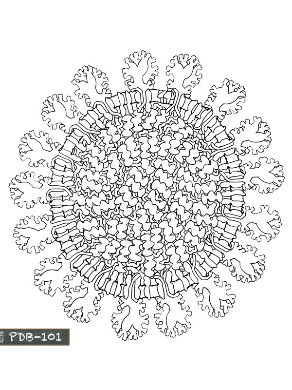 Coronavirus mandala disegno da colorare