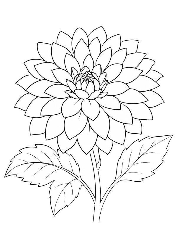 Dalia disegno da colorare