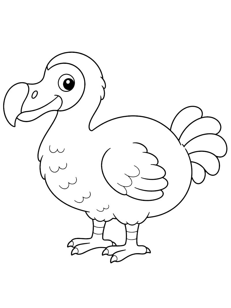Uccello dodo disegno da colorare Uccello dodo disegno da colorare