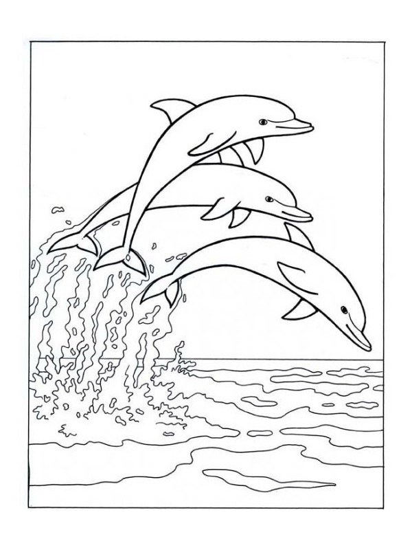 Delfini che saltano nel mare disegno da colorare