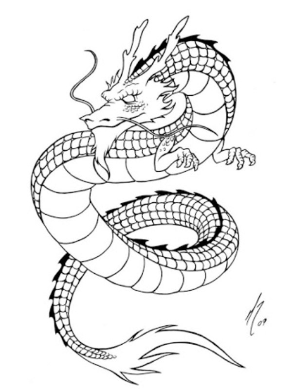 Tatuaggio di un drago disegno da colorare