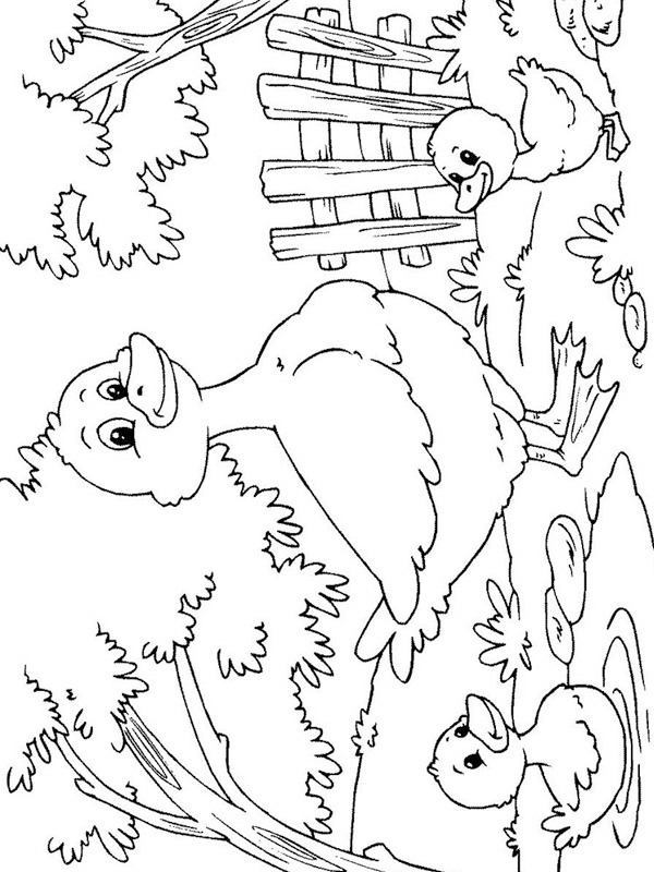 Anatroccoli con mamma anatra disegno da colorare