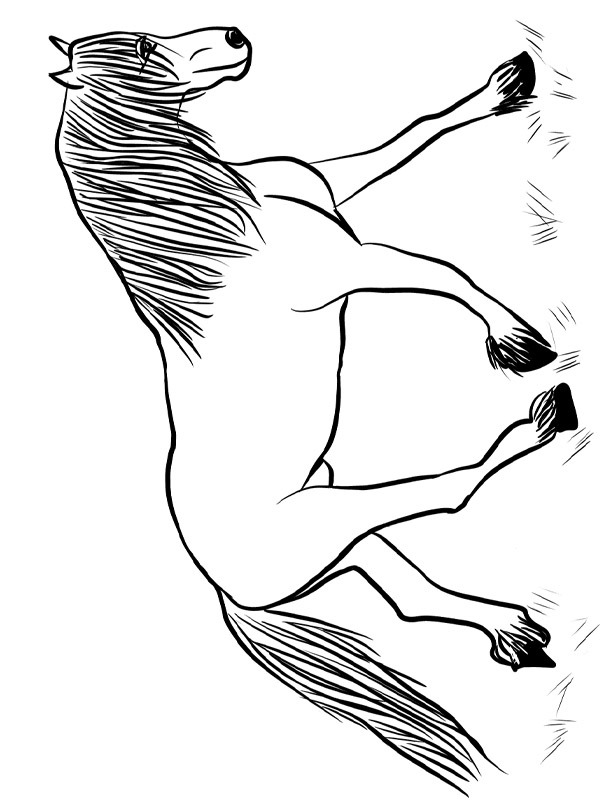cavallo frisone disegno da colorare