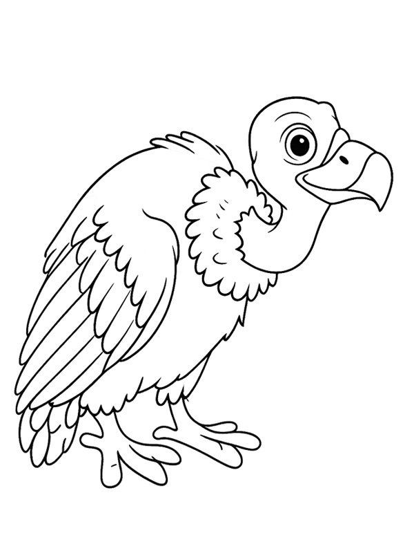 Avvoltoio disegno da colorare Avvoltoio disegno da colorare