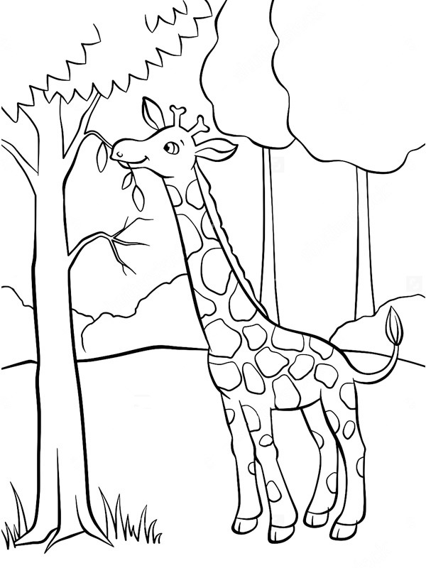Giraffa che mangia dall'albero disegno da colorare