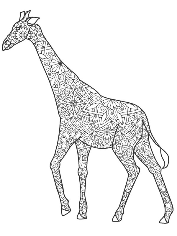 Giraffa per adulti disegno da colorare
