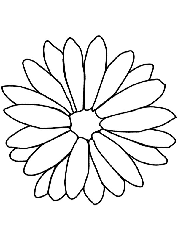 Calendula disegno da colorare Calendula disegno da colorare