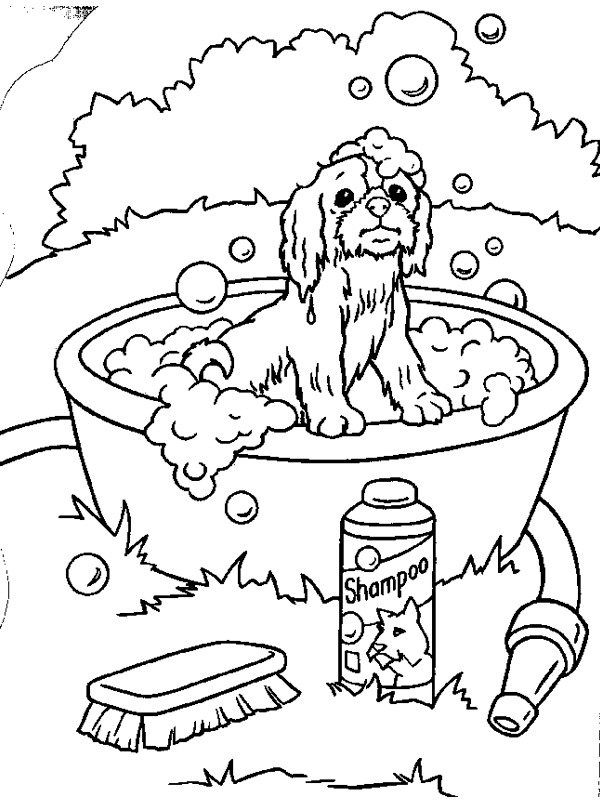 Cane nella vasca disegno da colorare