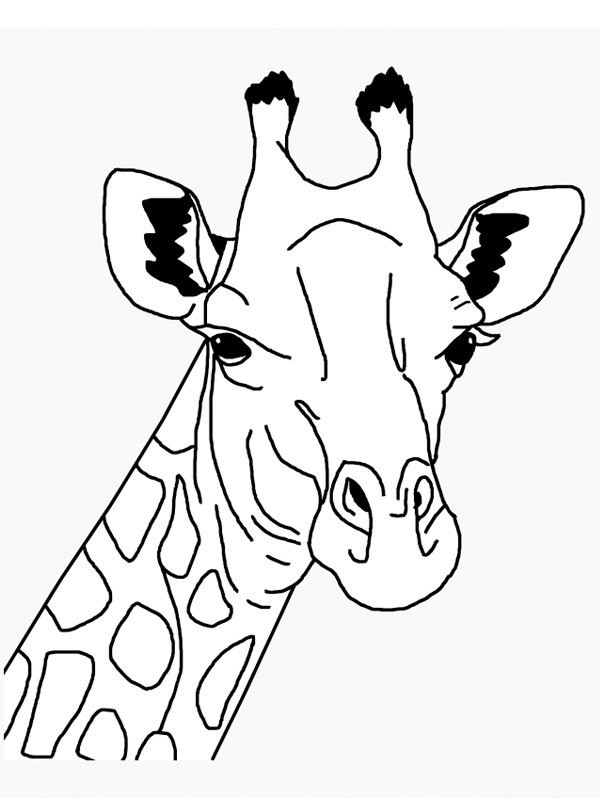 Testa di giraffa disegno da colorare