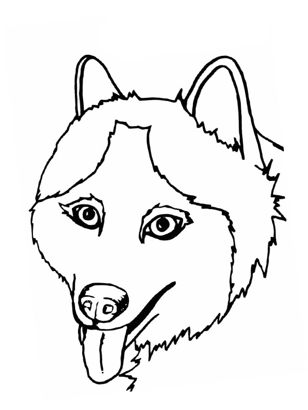 Testa di Husky disegno da colorare