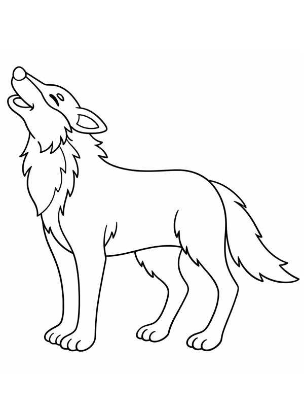 Lupo ululante disegno da colorare