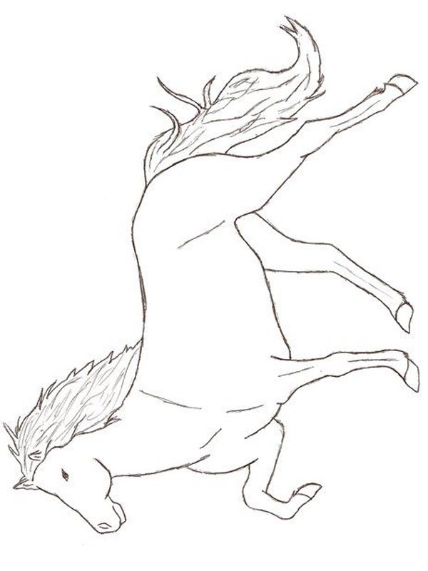 cavallo islandese disegno da colorare