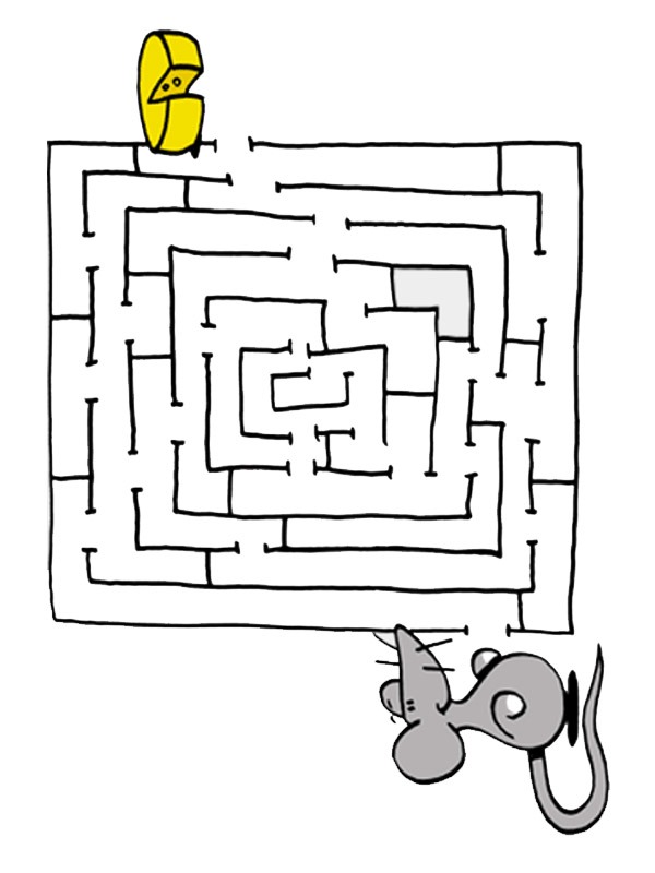 Labirinto topo e formaggio disegno da colorare