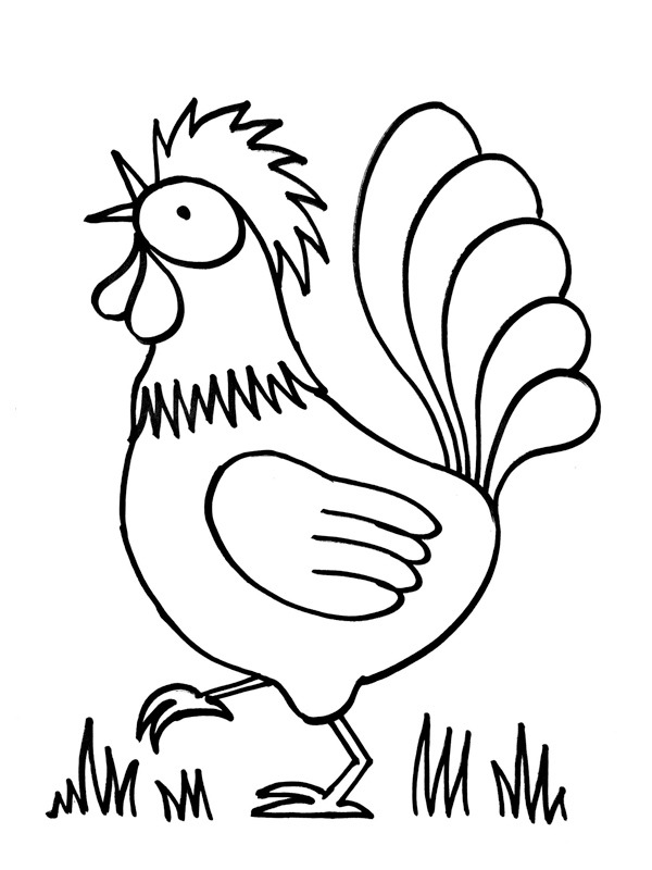 Pollo Hay Day disegno da colorare